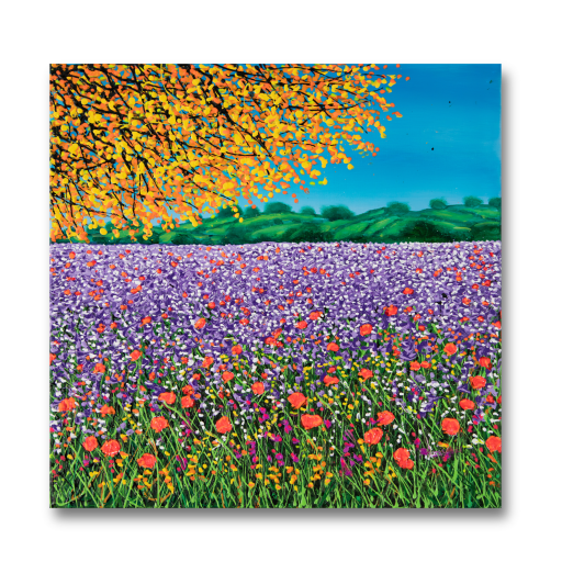 Campo di Lavanda